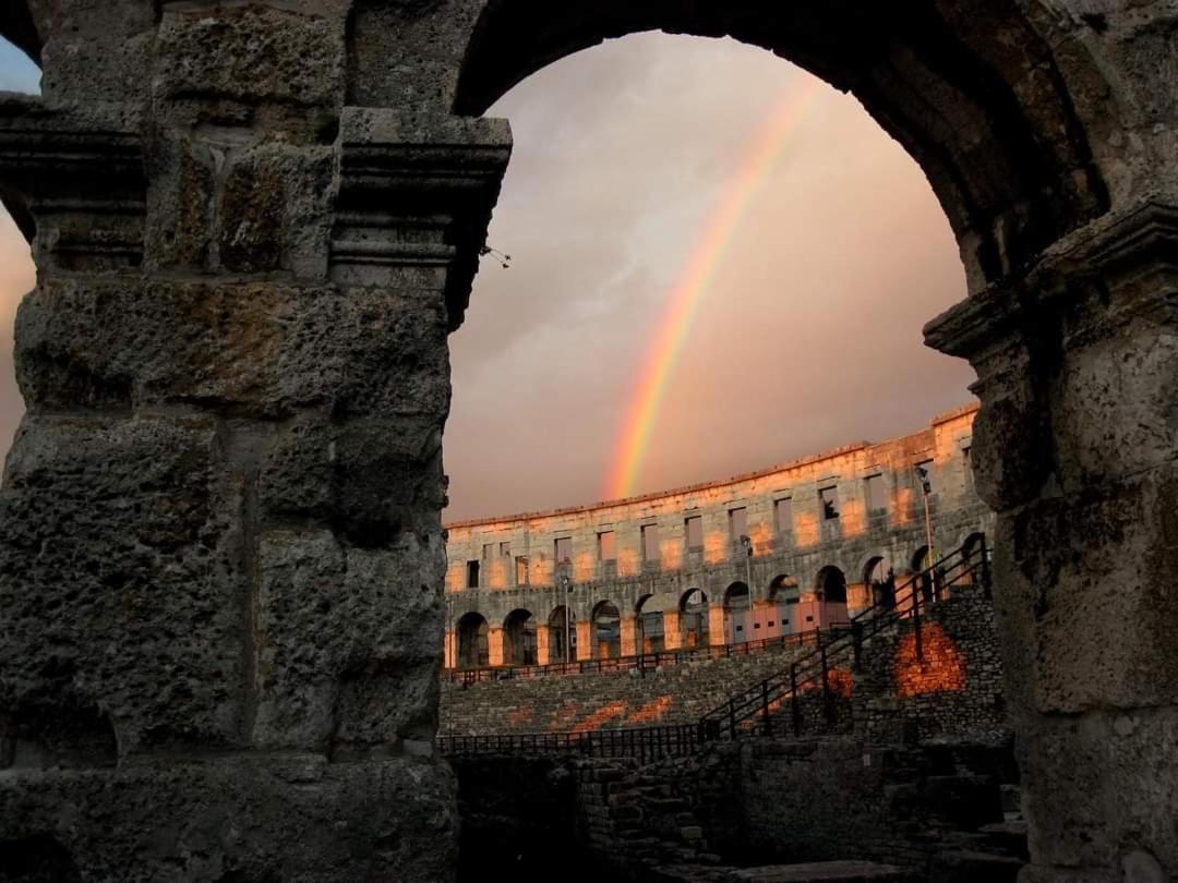David Apartmán Pula